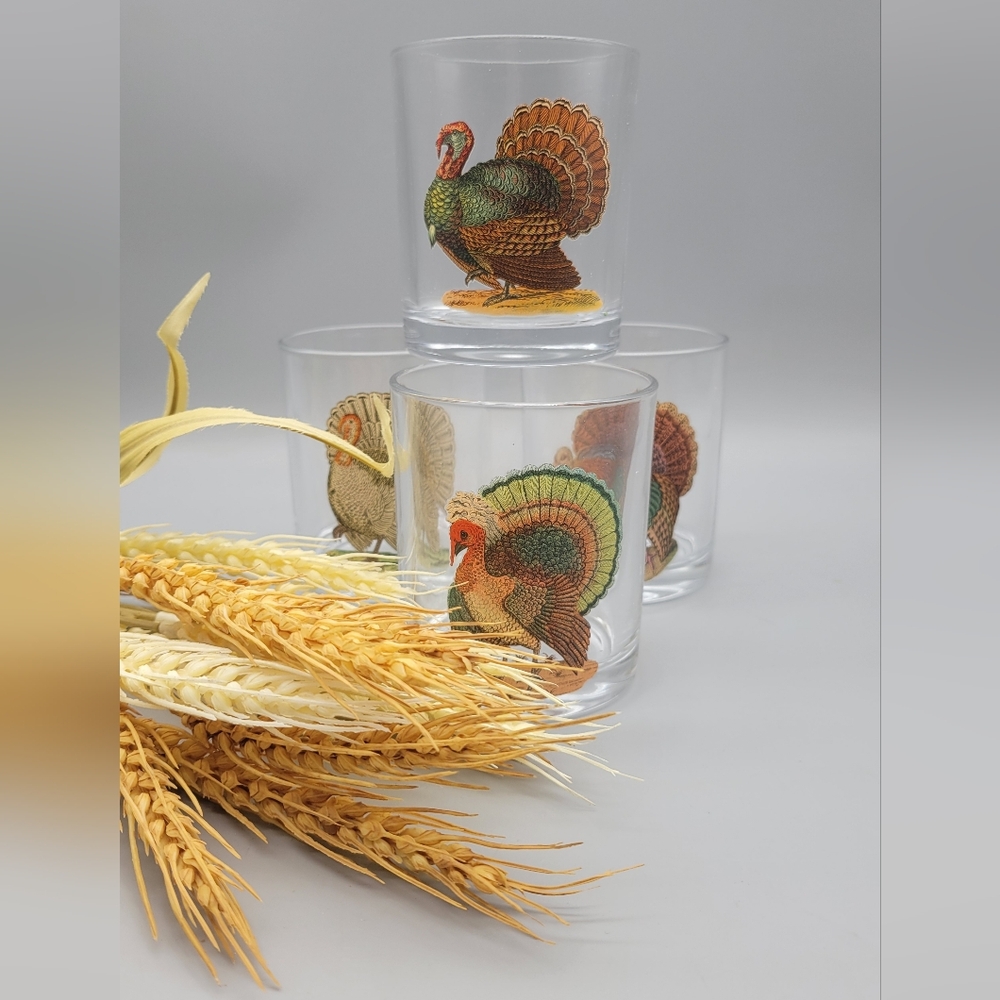John Derian Vintage Wild Turkey Illustrations Cocktail Glasses Barware